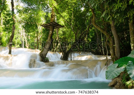 waterfall and green forest in Luang Prabang city