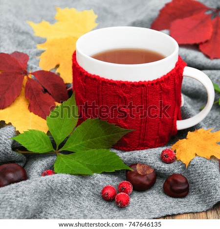 Cup of tea and autumn leaves on a old wooden table