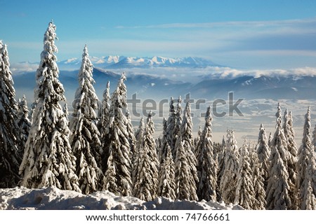 Winter landscape with snow in mountains, Slovakia