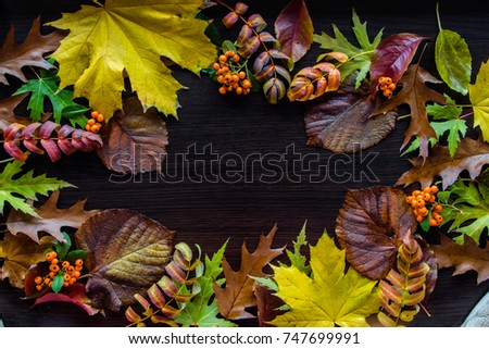 Colorful autumn leaves and wood background.Vintage autumn border from fallen leaves and fruits on the old wooden table. Colorful autumn leaves and wood background