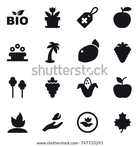 16 vector icon set : bio, flower, flower bed, palm, berry, trees, grape, corn, apple, sprouting, hand leaf, ecology, maple leaf