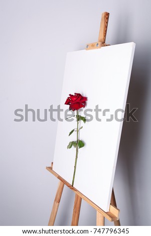Rose on a white canvas background. Flower and picture on the easel