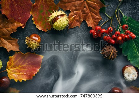 Horizontal concrete background with smoke, chestnut, fog and autumn leaves, top view