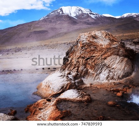 Hot Spring in Chilean Atacama Royalty-Free Stock Photo #747839593