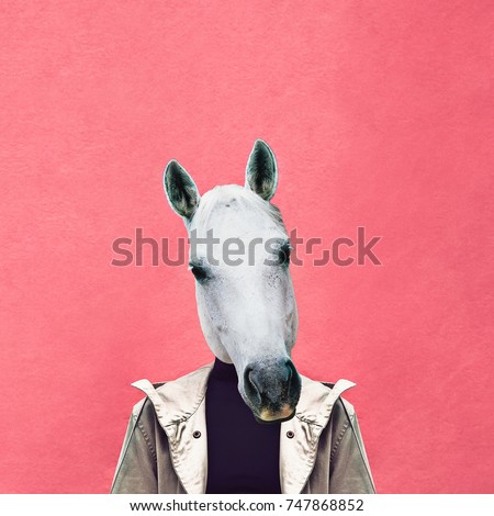 Contemporary art collage. Man horse on pink wall background. Jeans outfit