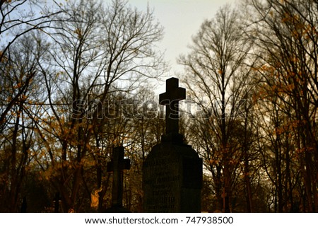 Christian cross on a cemetery in the evening with tree silhouettes in the background