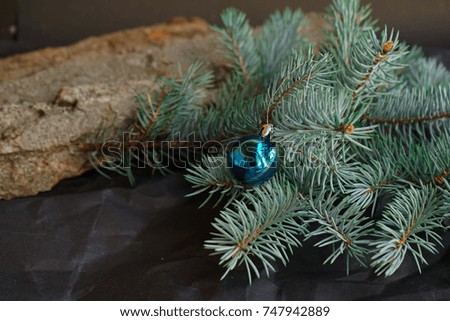 nature tree fir branch on black crafted background