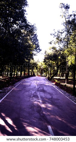 Road of park