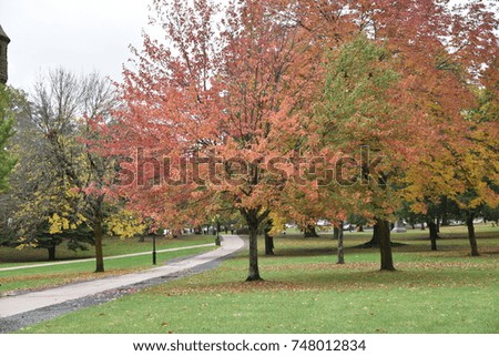 Colors of fall, pretty natural background