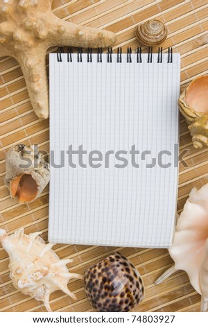 Frame of seashells on a background mat