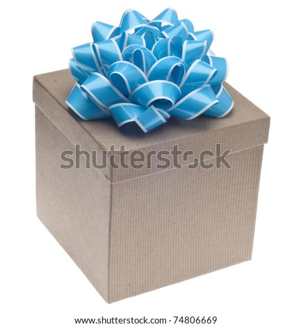 Closed Brown Paper Recycled Gift Box with Bow Isolated on White with a Clipping Path.