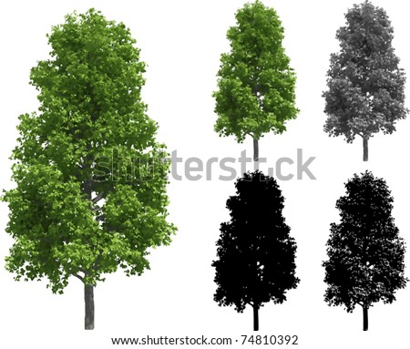Vector set of Trees