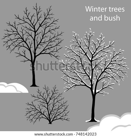 Set of vector silhouettes of deciduous trees and bush with snow.