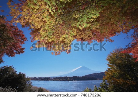 Mt. Fuji went into the picture frame of a colorful maple