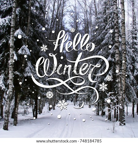 Nature december background with hand lettering "Hello Winter". Great season texture with winter mood. 