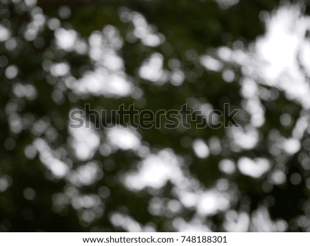 Bokeh Light Sunny Abstract Green Nature Background