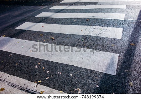 pedestrians lines on road in high contrasts