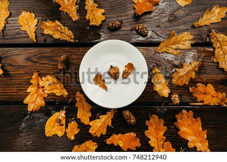 ?corn in a plate. Autumn Delicatessen.A cup of coffee in the autumn park