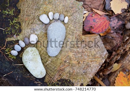 Footprint of stones on an autumnal deciduous ground