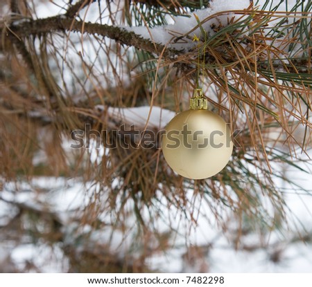 Color DSLR image of round gold Christmas holiday decoration ornament in a green pine tree with white snow background. Horizontal with copy space for text.