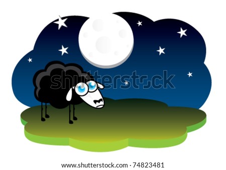 black sheep alone at night