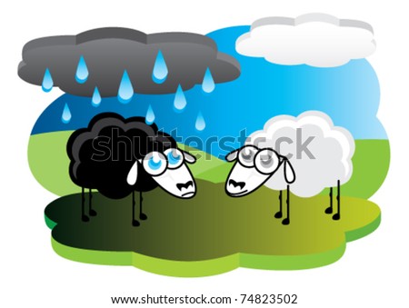 black sheep under the weather