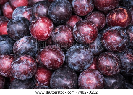 Tasty and ripe Plums Background.