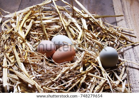A picture of fresh eggs in a straw nest from the Farm 