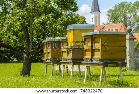 Bee hives positioned in the garden in Bavaria, Germany.