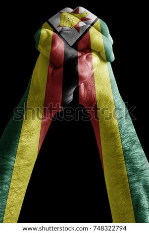Fist painted in colors of Zimbabwe flag, fist flag, country of Zimbabwe