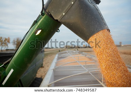 Combine harvester discharging maize kernels into the load bed of a waiting truck in an agricultural field Royalty-Free Stock Photo #748349587