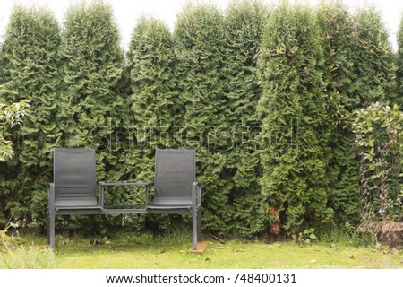 The black bench in the garden
