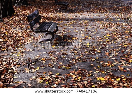 The season of autumn leaves