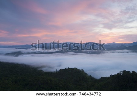 sea of fog ,beautiful valley ,Thailand 