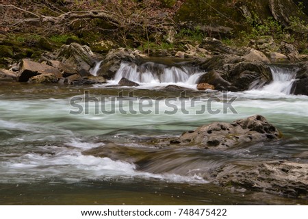 Stream with moving water