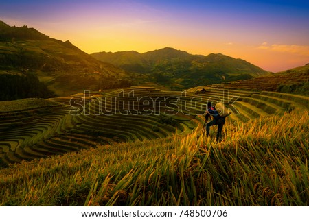 Photographer taking photo of Rice fields on terraced with wooden pavilion at sunset in Mu Cang Chai, YenBai, Vietnam.