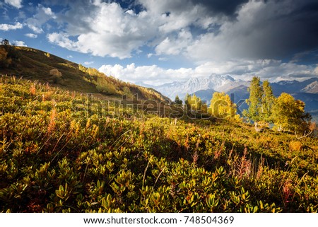 Alpine meadows in the sunny light. Location Upper Svaneti, Georgia country, Europe. Main Caucasian ridge. Scenic image of wild area. Discover the beauty of earth. Excellent adventure wallpapers.