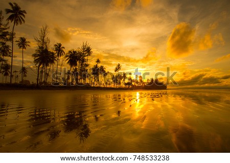 Golden sunset with silhouette palm trees.