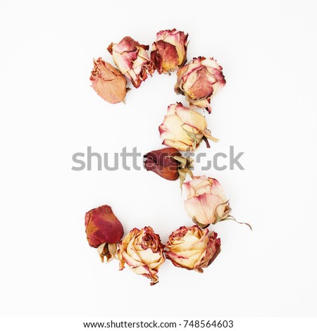 Flat lay. Top view. Minimal fashion photography. Beautiful romantic composition with flowers. St. Valentines Day background