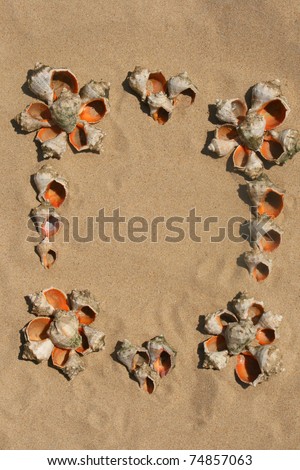 Frame maked of sea shells on sand.
