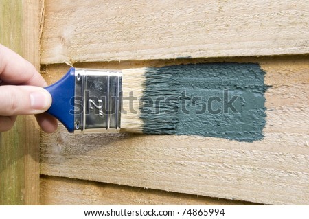 green wood stain being painted onto a fence