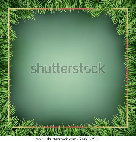 Christmas background from fir tree branches. And also includes EPS 10 vector