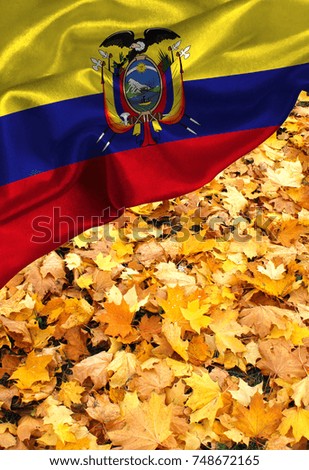 Grunge colorful flag Ecuador, with copyspace for your text or images.