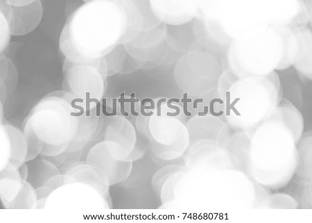 Black and white bokeh background from natural forest