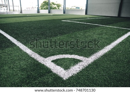White line in football field.