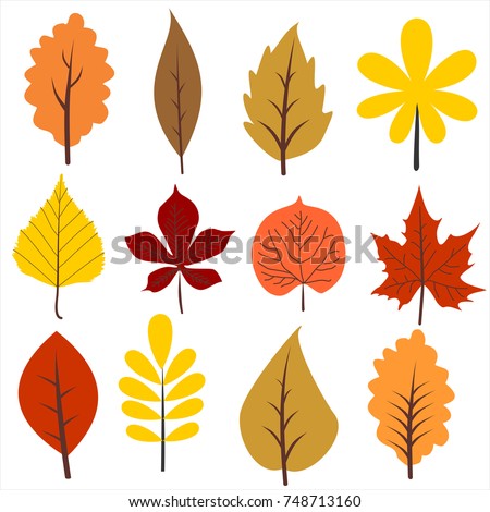 Autumns leaves collection. Vector illustration. Autumn leaf Clip Art.