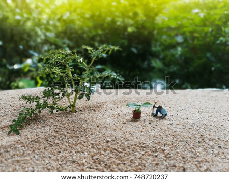 Miniature Greenhouse concept, alone of miniature mini figures with planting tree on sand protect nature and environment concept
