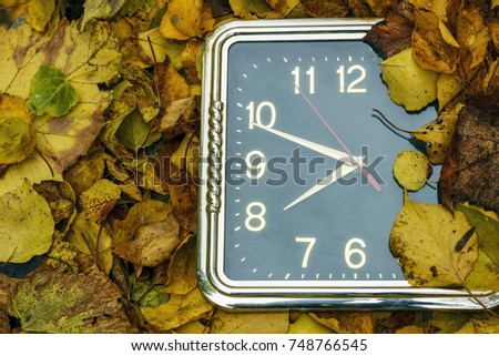 Round black clock lying on autumn leaves.