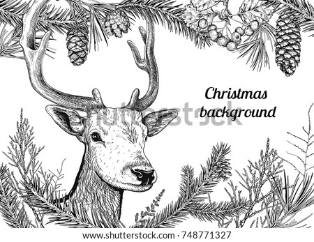 Christmas and New Year background with deer, different branches and cones. Fir tree, cedar, pine, arborvitae, hawthorn. Hand drawn sketch. Design for greeting cards, calendars, banners, invitations.