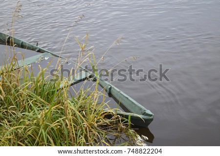 Wooden boat full of water and green reeds